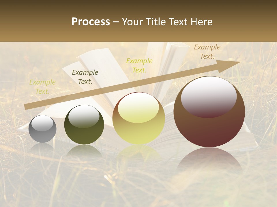 An Open Book Sitting On Top Of A Lush Green Field PowerPoint Template