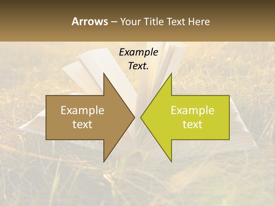 An Open Book Sitting On Top Of A Lush Green Field PowerPoint Template
