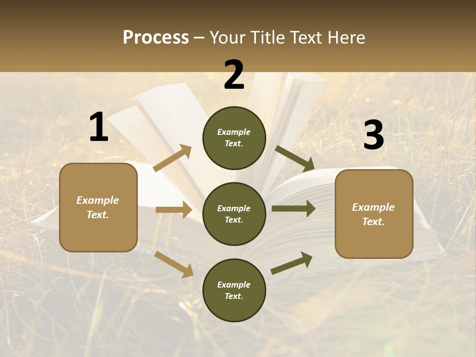 An Open Book Sitting On Top Of A Lush Green Field PowerPoint Template