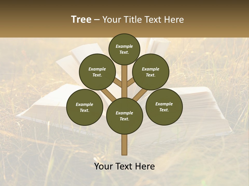 An Open Book Sitting On Top Of A Lush Green Field PowerPoint Template