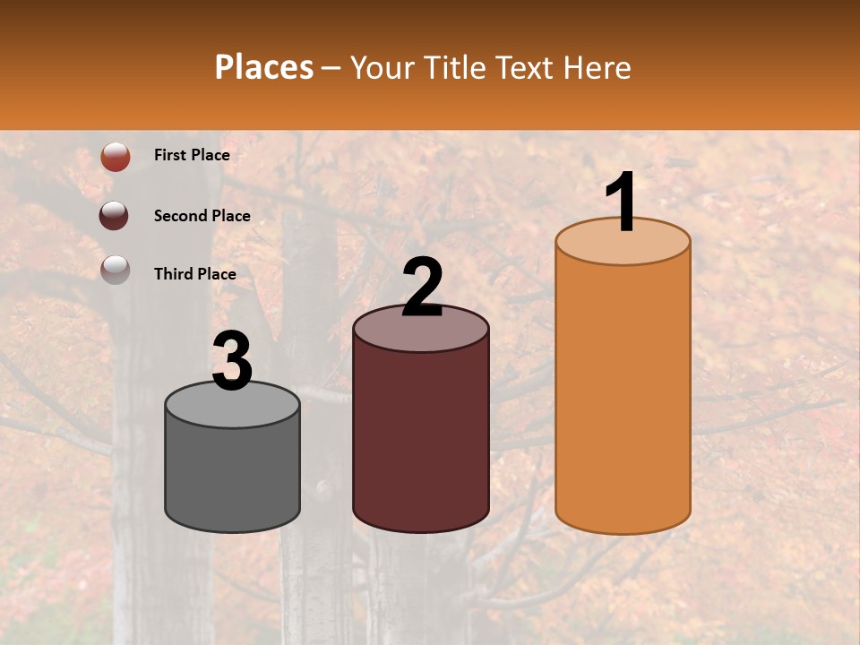 A Group Of Trees That Are Next To Each Other PowerPoint Template