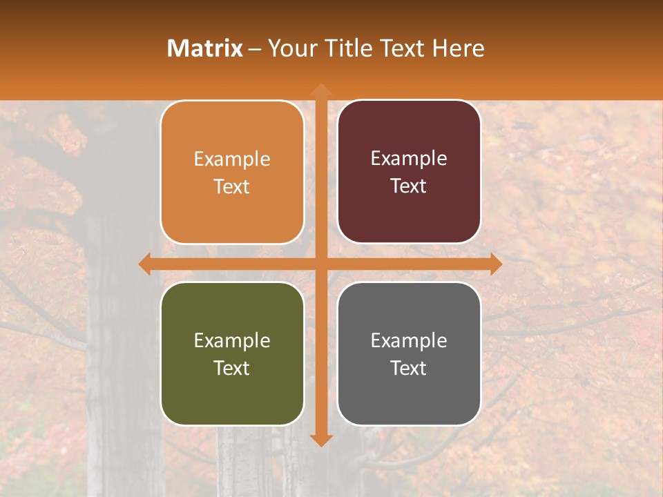 A Group Of Trees That Are Next To Each Other PowerPoint Template