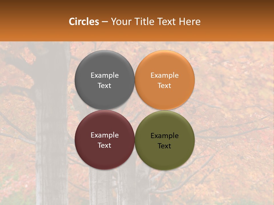 A Group Of Trees That Are Next To Each Other PowerPoint Template