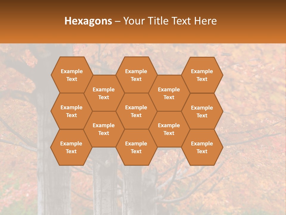 A Group Of Trees That Are Next To Each Other PowerPoint Template