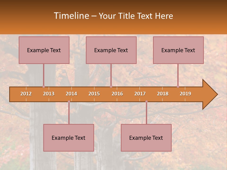 A Group Of Trees That Are Next To Each Other PowerPoint Template