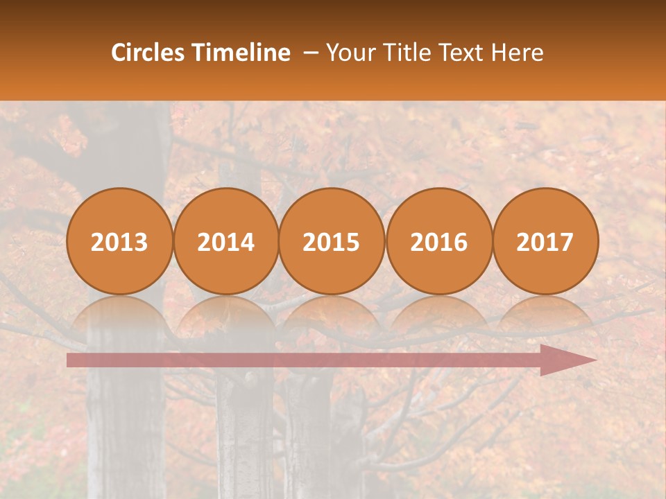 A Group Of Trees That Are Next To Each Other PowerPoint Template