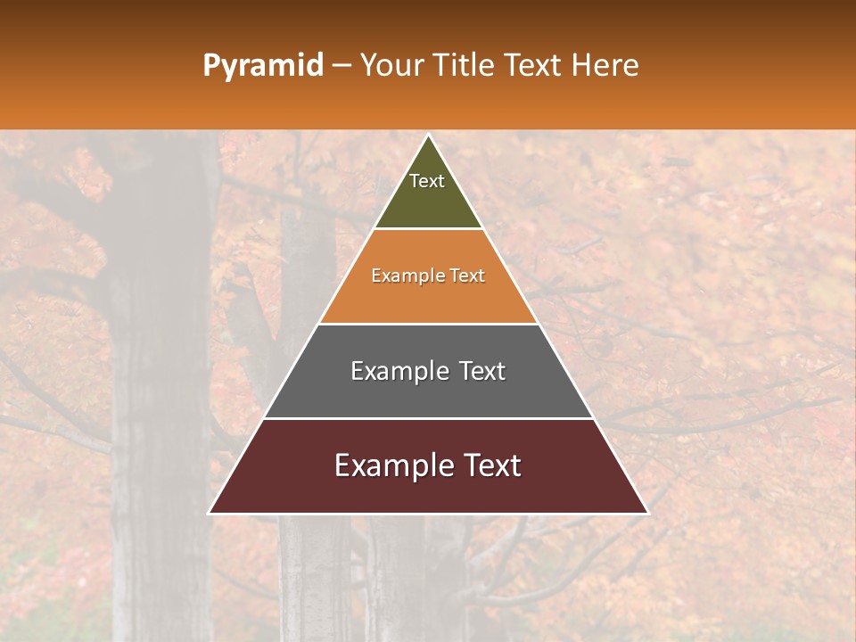 A Group Of Trees That Are Next To Each Other PowerPoint Template