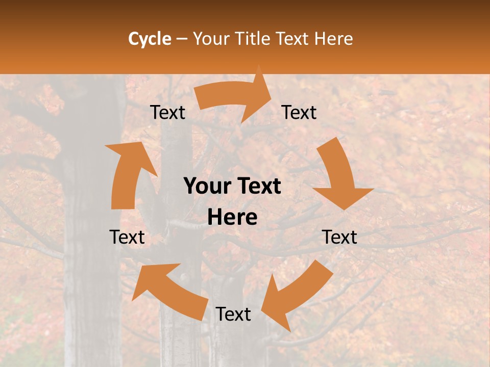 A Group Of Trees That Are Next To Each Other PowerPoint Template