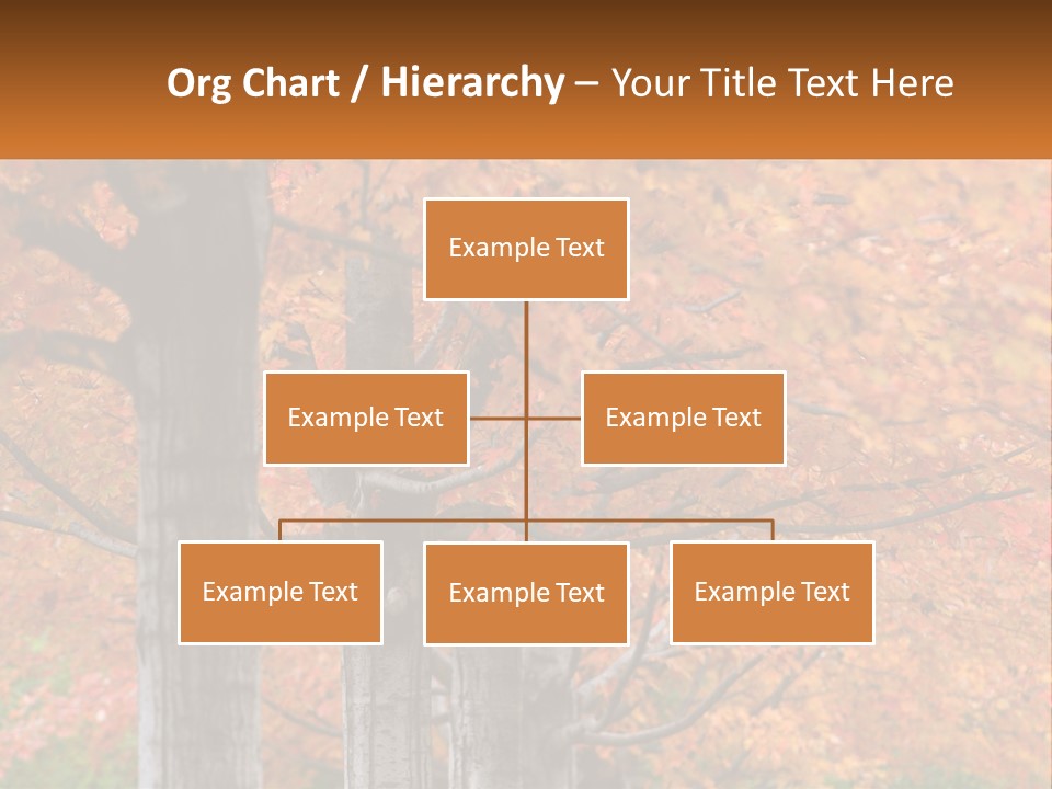 A Group Of Trees That Are Next To Each Other PowerPoint Template