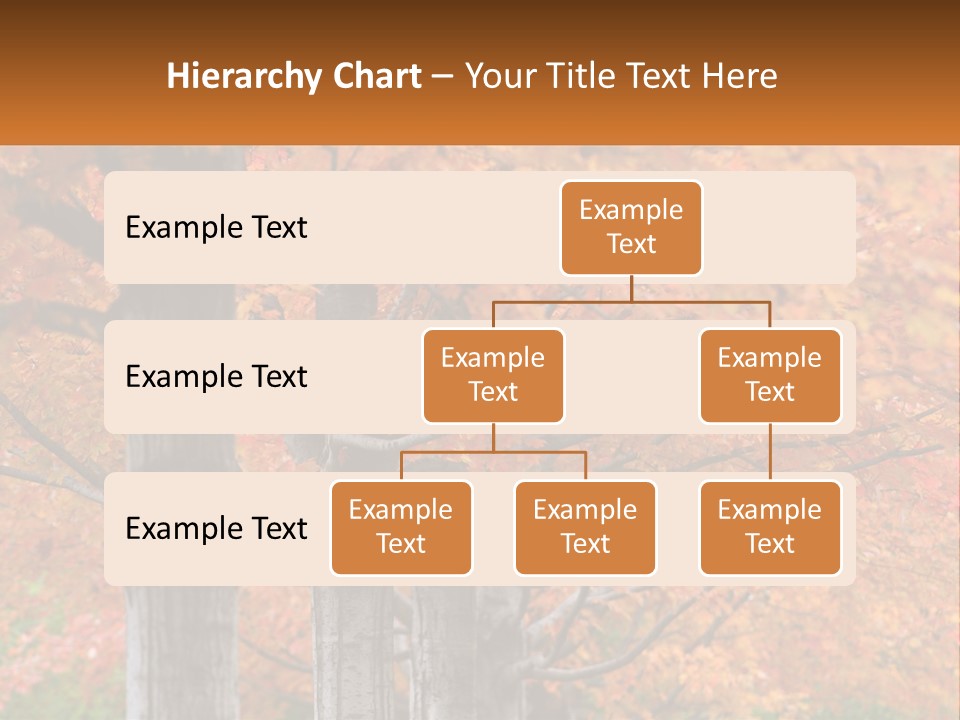 A Group Of Trees That Are Next To Each Other PowerPoint Template