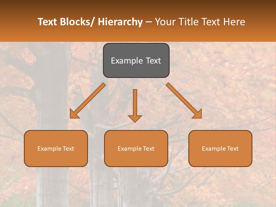 A Group Of Trees That Are Next To Each Other PowerPoint Template