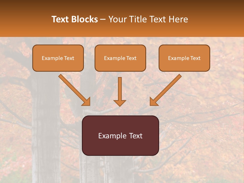 A Group Of Trees That Are Next To Each Other PowerPoint Template