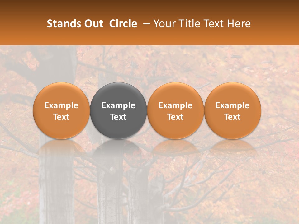 A Group Of Trees That Are Next To Each Other PowerPoint Template