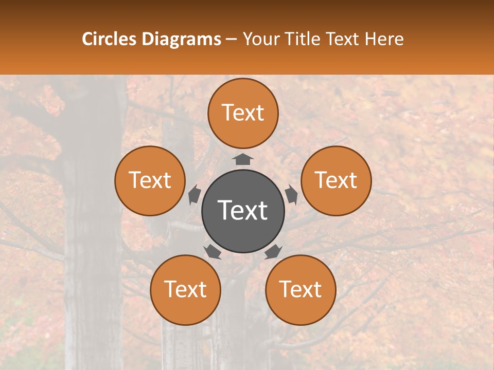 A Group Of Trees That Are Next To Each Other PowerPoint Template