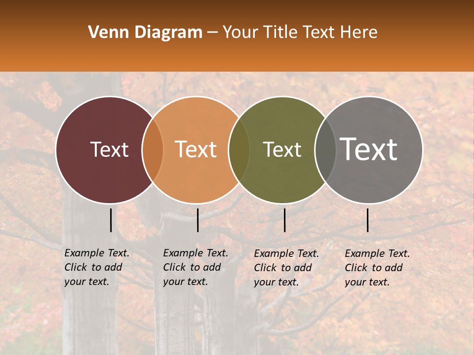 A Group Of Trees That Are Next To Each Other PowerPoint Template
