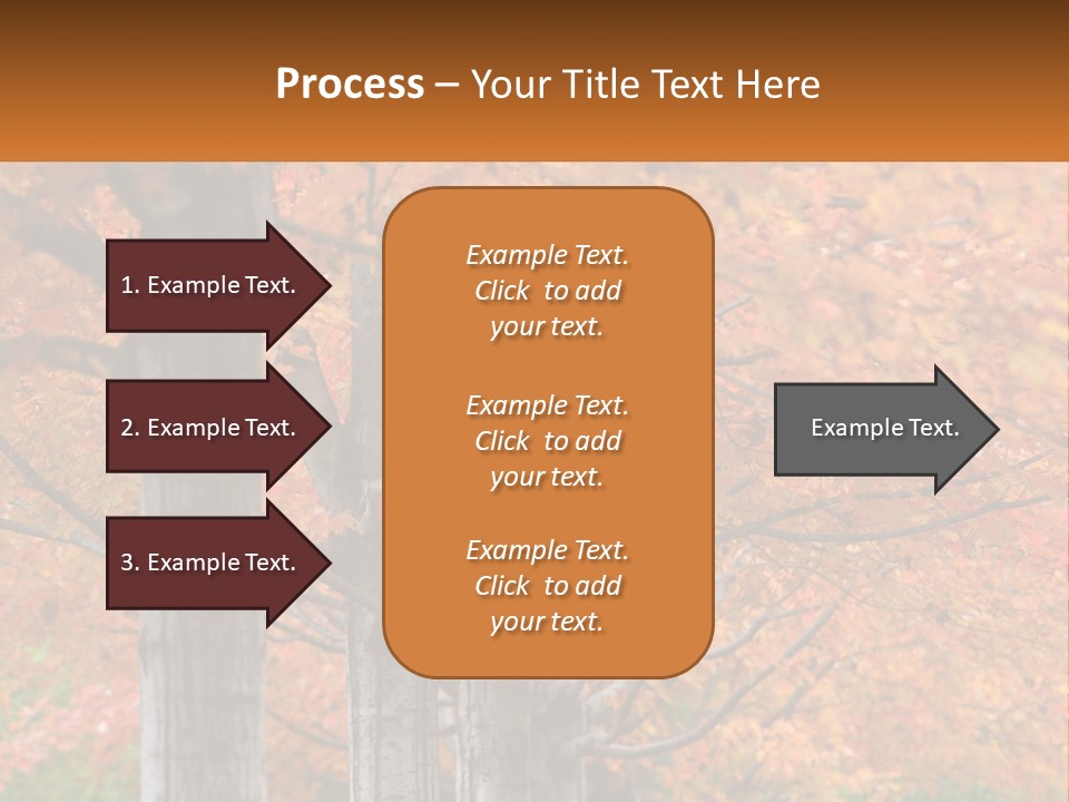 A Group Of Trees That Are Next To Each Other PowerPoint Template