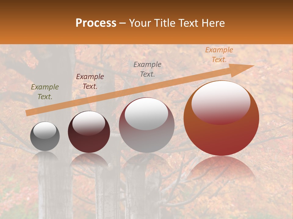 A Group Of Trees That Are Next To Each Other PowerPoint Template