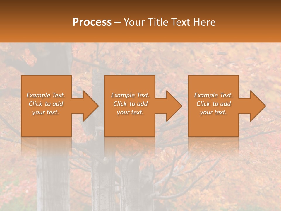 A Group Of Trees That Are Next To Each Other PowerPoint Template