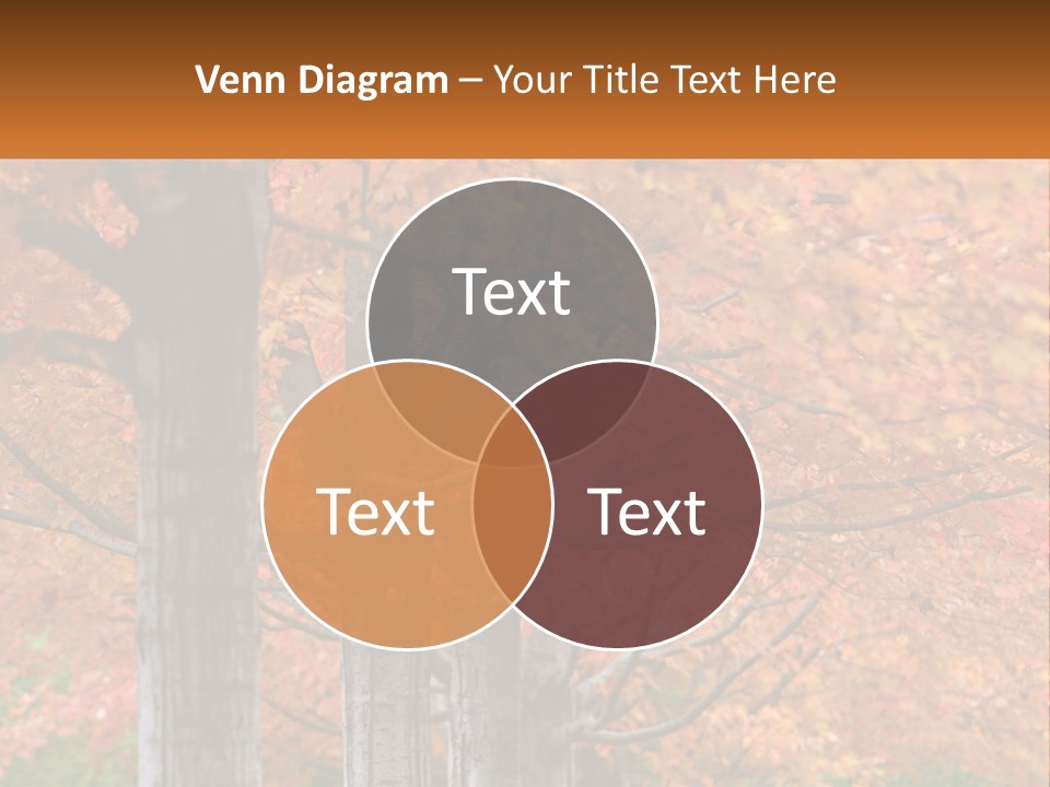 A Group Of Trees That Are Next To Each Other PowerPoint Template