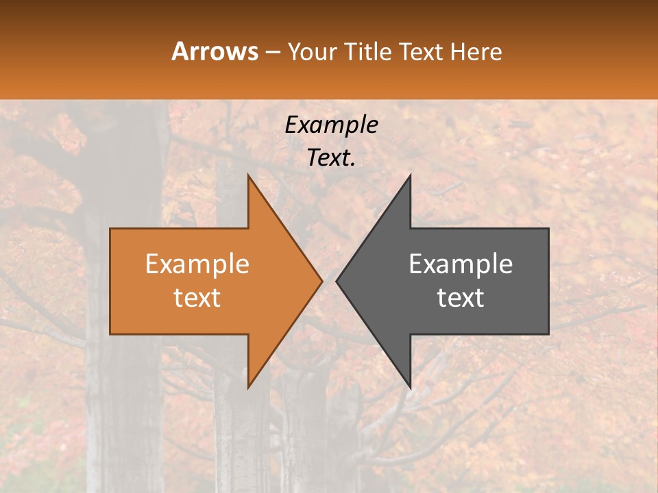 A Group Of Trees That Are Next To Each Other PowerPoint Template