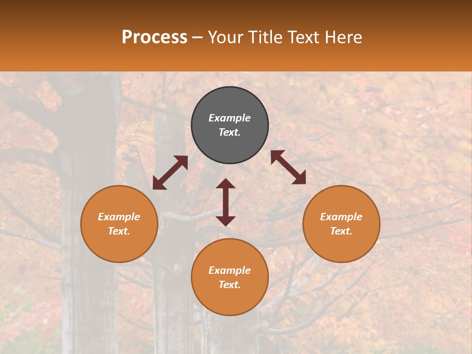 A Group Of Trees That Are Next To Each Other PowerPoint Template