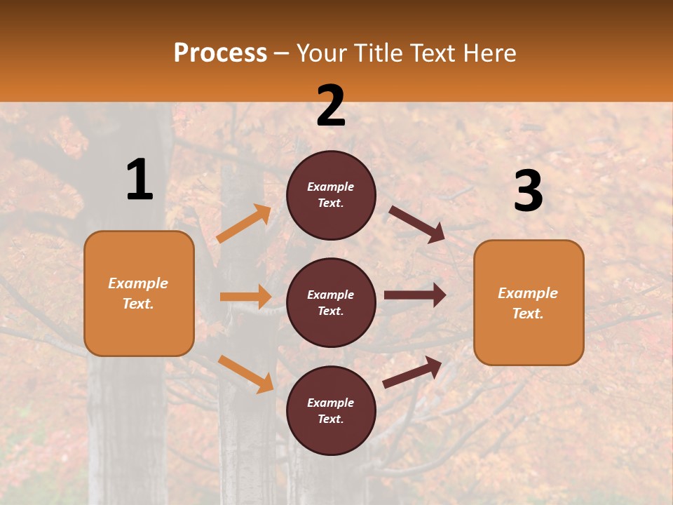 A Group Of Trees That Are Next To Each Other PowerPoint Template