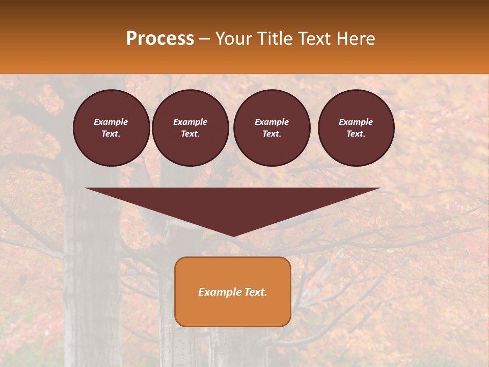 A Group Of Trees That Are Next To Each Other PowerPoint Template