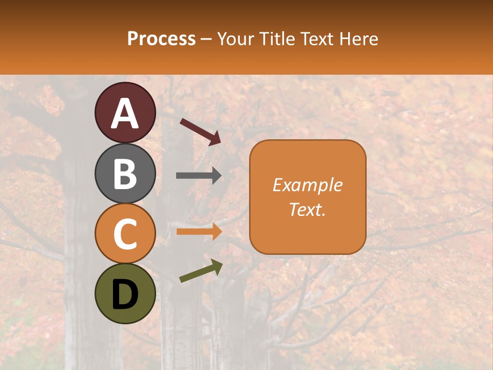 A Group Of Trees That Are Next To Each Other PowerPoint Template