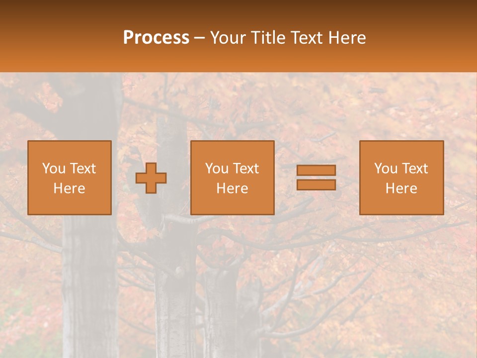 A Group Of Trees That Are Next To Each Other PowerPoint Template