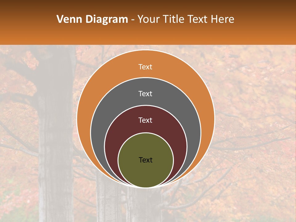 A Group Of Trees That Are Next To Each Other PowerPoint Template