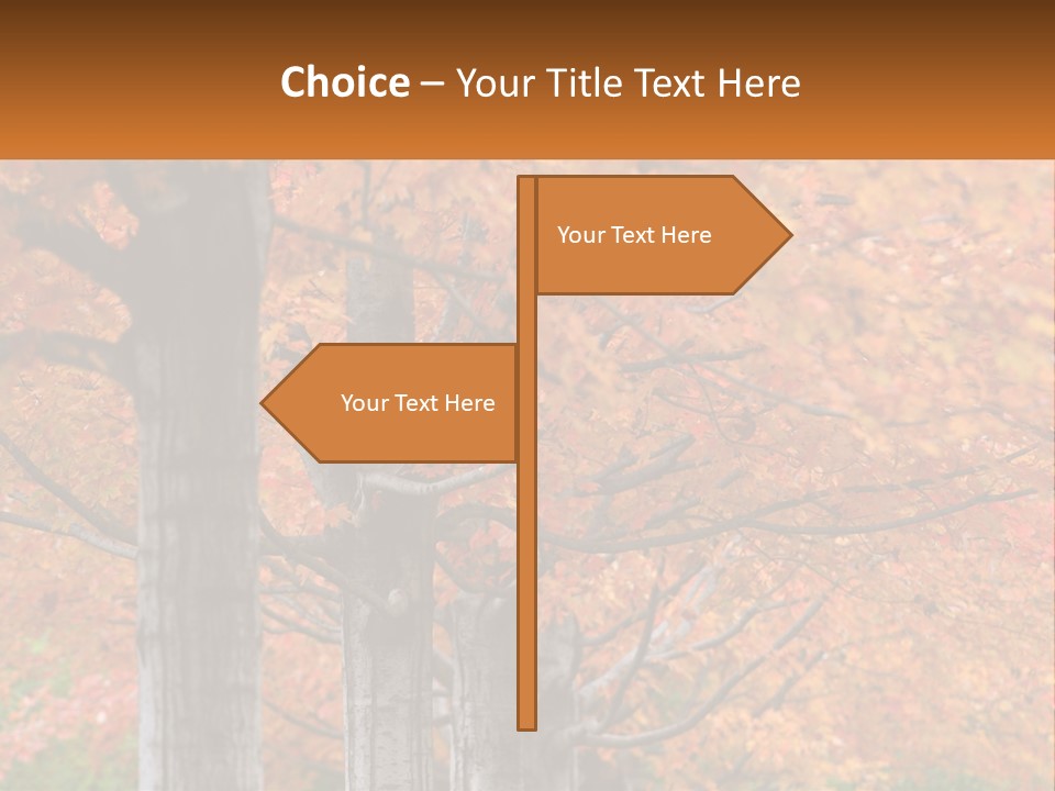 A Group Of Trees That Are Next To Each Other PowerPoint Template