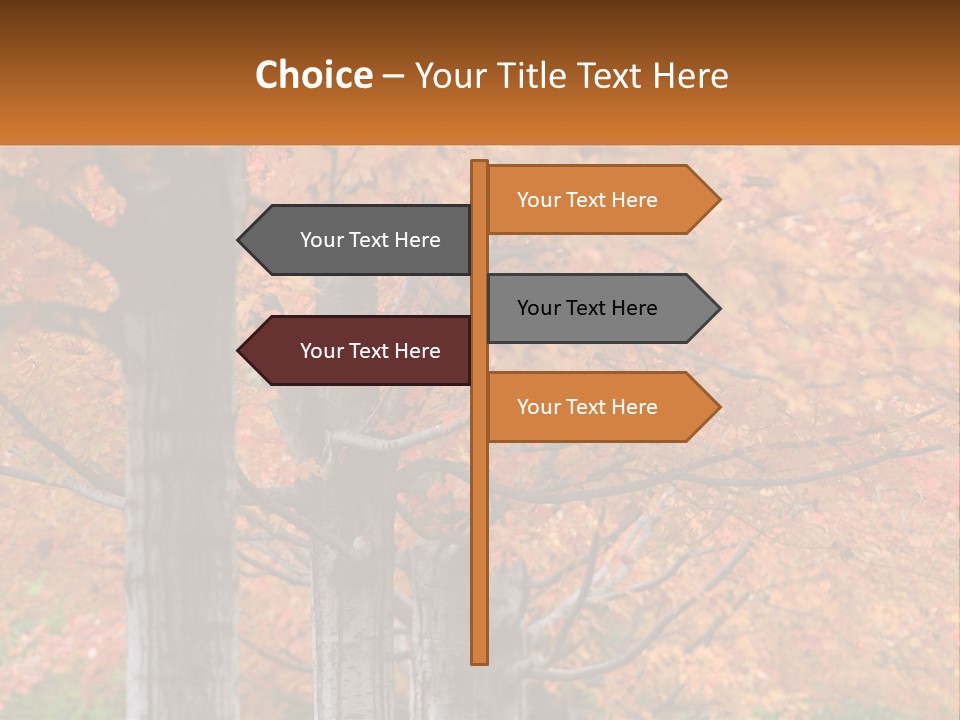 A Group Of Trees That Are Next To Each Other PowerPoint Template