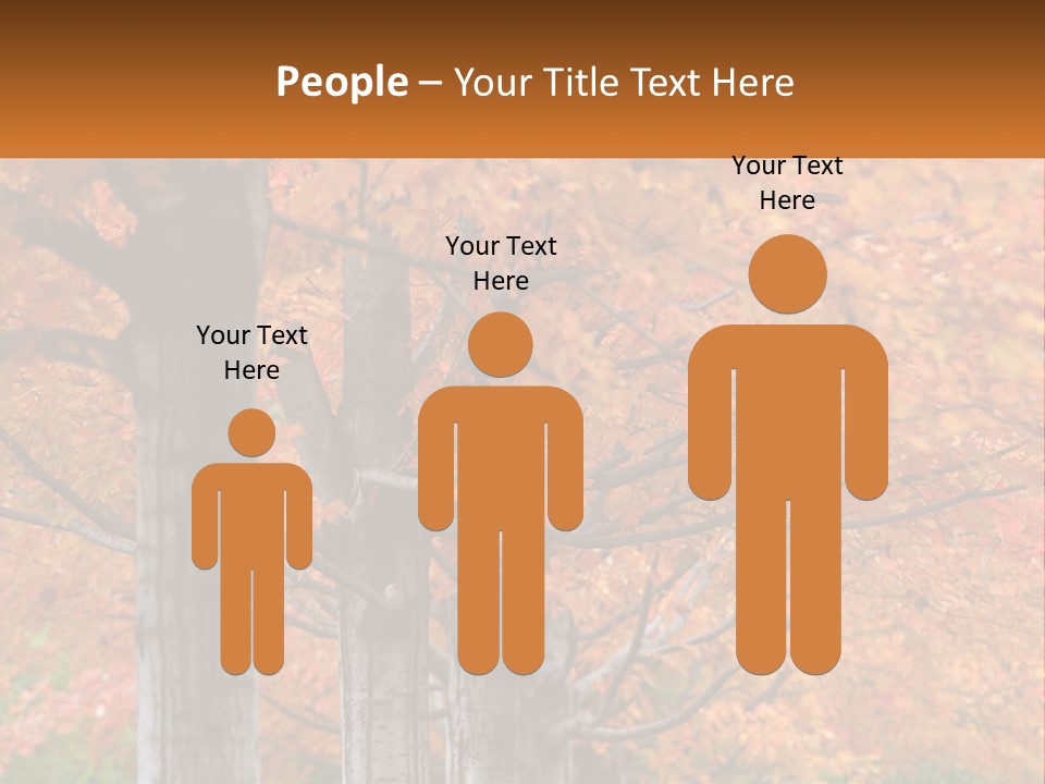 A Group Of Trees That Are Next To Each Other PowerPoint Template