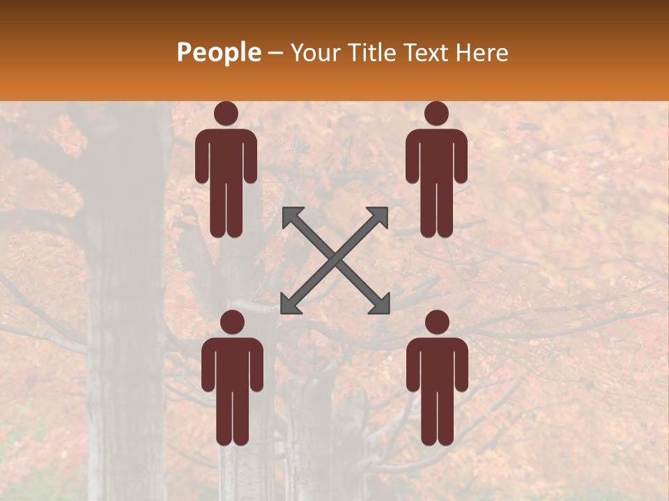 A Group Of Trees That Are Next To Each Other PowerPoint Template
