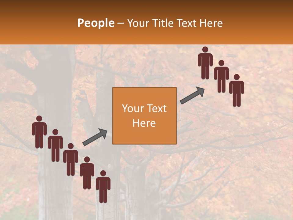 A Group Of Trees That Are Next To Each Other PowerPoint Template