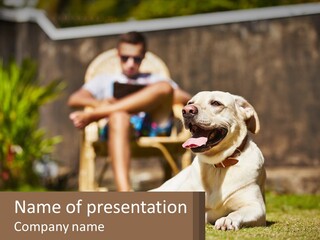 A Man Sitting In A Chair Next To A Dog PowerPoint Template