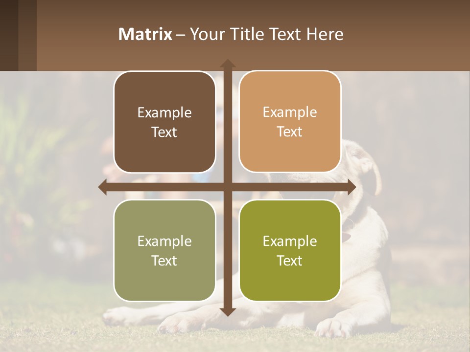 A Man Sitting In A Chair Next To A Dog PowerPoint Template