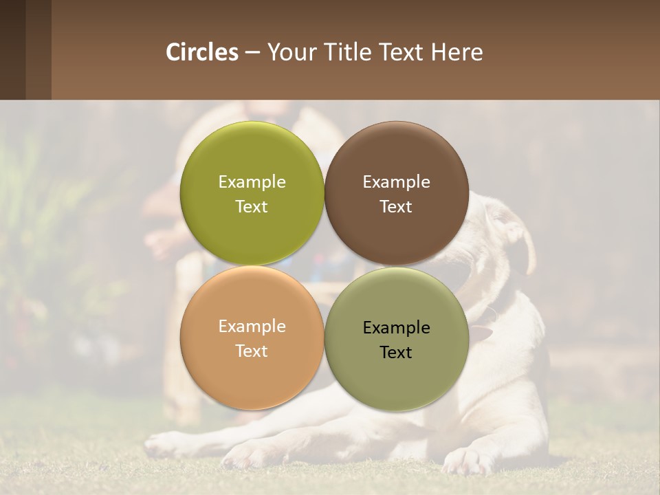 A Man Sitting In A Chair Next To A Dog PowerPoint Template