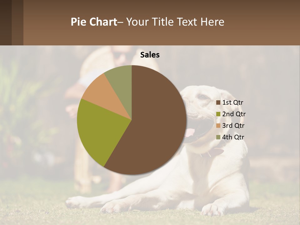 A Man Sitting In A Chair Next To A Dog PowerPoint Template