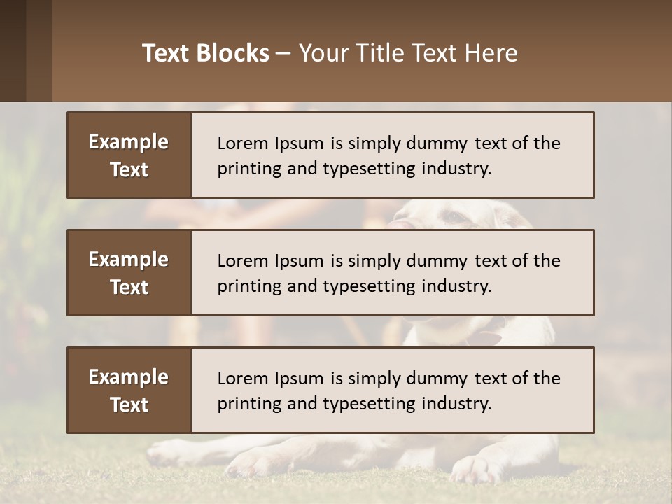 A Man Sitting In A Chair Next To A Dog PowerPoint Template