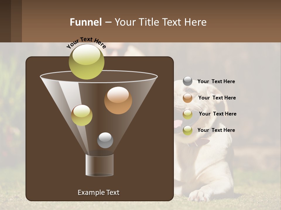 A Man Sitting In A Chair Next To A Dog PowerPoint Template