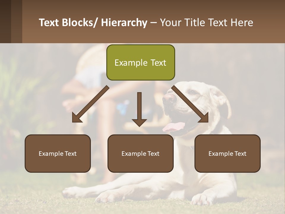A Man Sitting In A Chair Next To A Dog PowerPoint Template