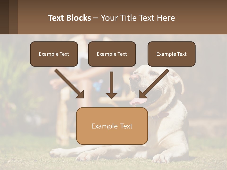 A Man Sitting In A Chair Next To A Dog PowerPoint Template