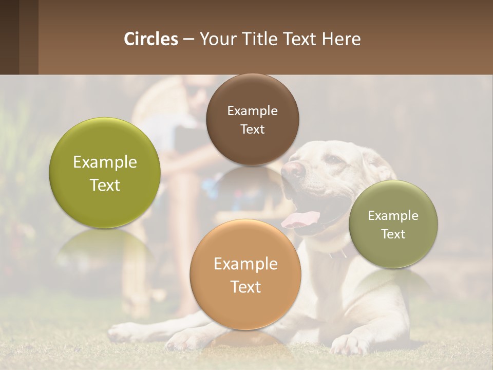 A Man Sitting In A Chair Next To A Dog PowerPoint Template
