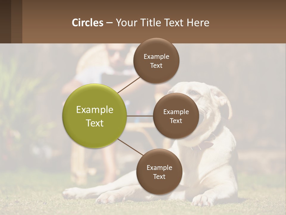 A Man Sitting In A Chair Next To A Dog PowerPoint Template