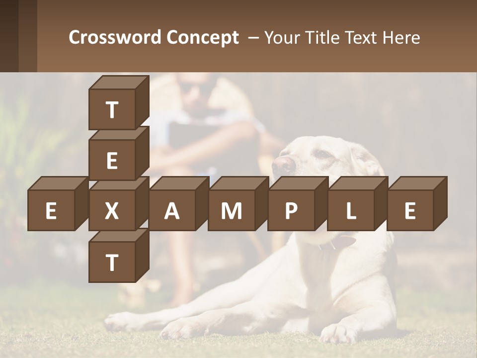 A Man Sitting In A Chair Next To A Dog PowerPoint Template