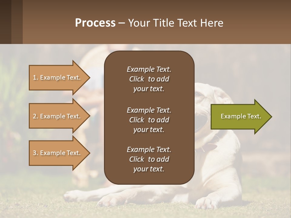 A Man Sitting In A Chair Next To A Dog PowerPoint Template