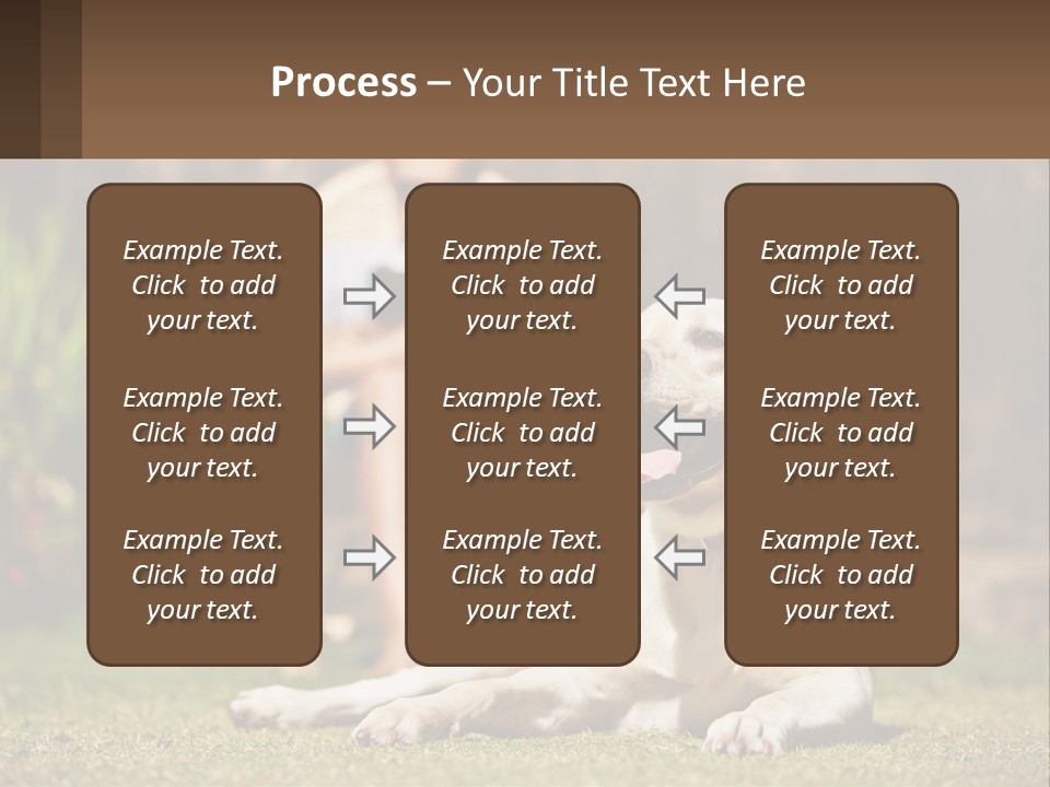 A Man Sitting In A Chair Next To A Dog PowerPoint Template