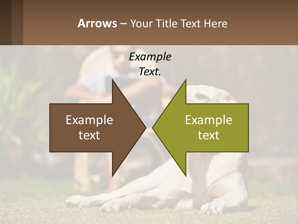 A Man Sitting In A Chair Next To A Dog PowerPoint Template