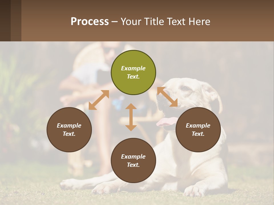 A Man Sitting In A Chair Next To A Dog PowerPoint Template